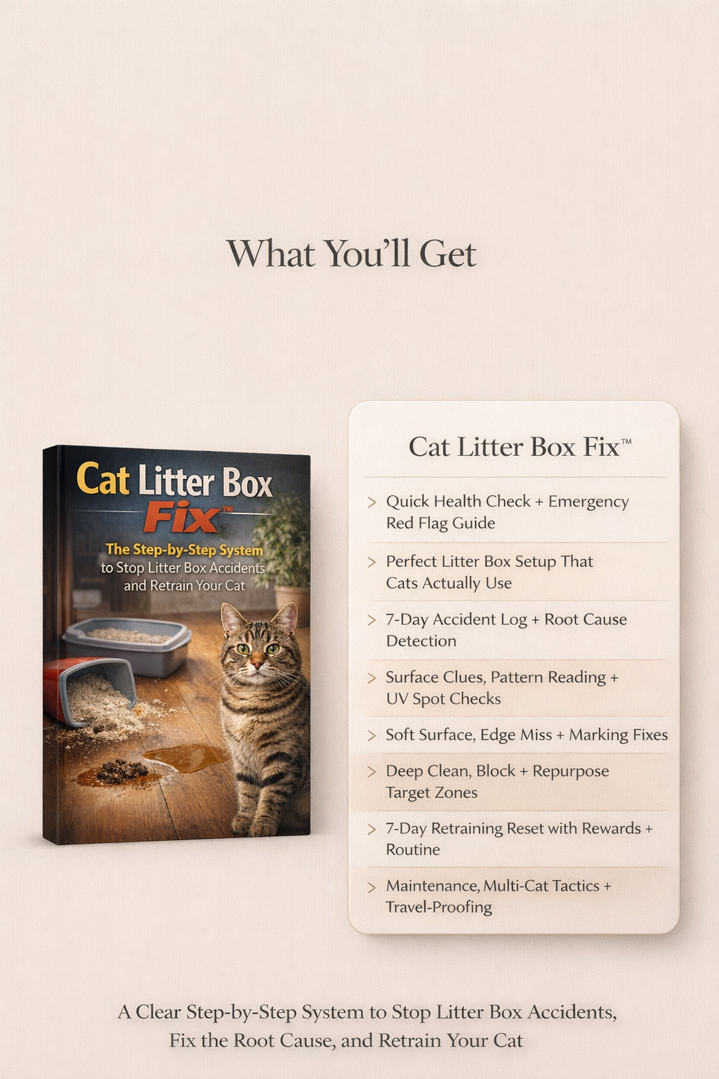 Cat Litter Box Fix System guide and cat litter box fix showing 8 steps from quick health check to 7-day retraining reset to stop litter box accidents and retrain your cat