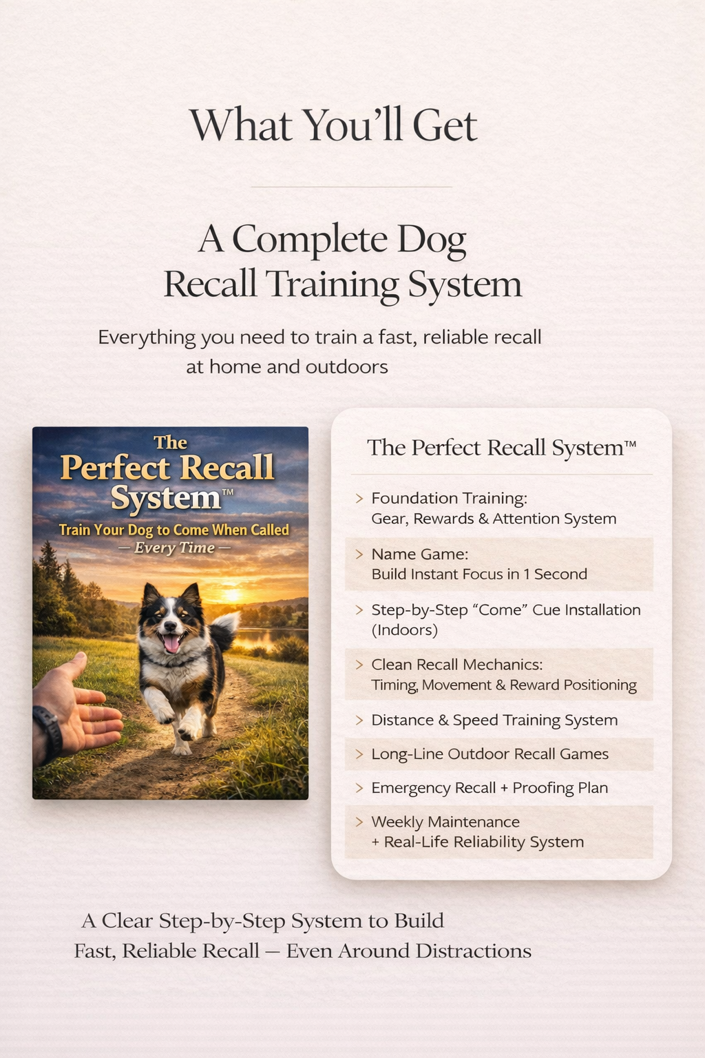 The Perfect Recall System guide and dog recall training showing 8 steps from foundation training and gear setup to weekly maintenance and real-life reliability system to train your dog to come when called every time
